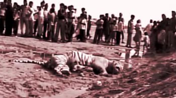 Panna: Integrating nomadic hunters into mainstream