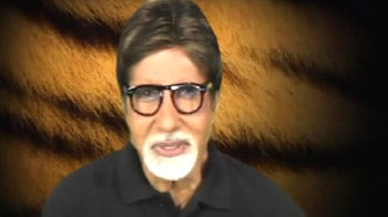 Video : It's up to us to save the tigers: Big B