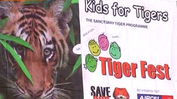 Video : 'Kids For Tigers' festival at Ranthambore