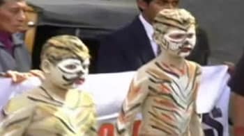 Video : Students rally for tiger conservation