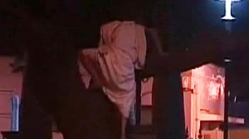 Protester climbs tree near PM's residence