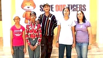 Green ambassadors for the future