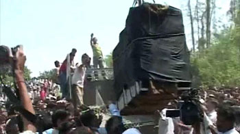 Tiger captured after 100 days near Lucknow Tiger captured after 100 days near Lucknow
