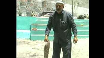 Video : गया था मछली पकड़ने, करोड़पति बनकर लौटा