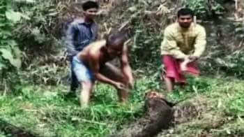 Video : The gruesome tale of Guwahati's depleting forests