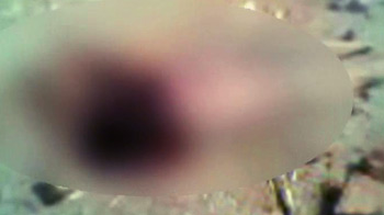 नागपुर में भीड़ ने तीन लोगों की हत्या की