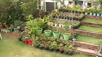 A terrace garden to change lives