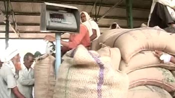 MP farmers allege not enough jute bags to transport crops