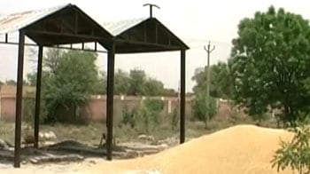 Video : Farmers dump wheat in cremation ground