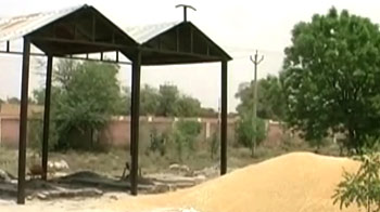 Farmers dump wheat in cremation ground