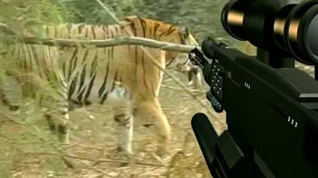 शिकारियों को गोली मारने के आदेश