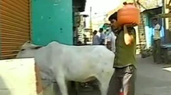 महाराष्ट्र क्यों बनता जा रहा है 'सूखा' राष्ट्र...?