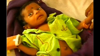 ठाणे : बच्चों का खाना खा रहे हैं मुर्गे ठाणे : बच्चों का खाना खा रहे हैं मुर्गे