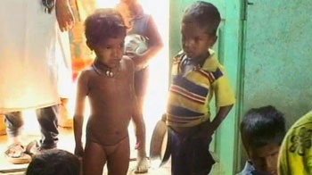 मुर्गी, सुअरों को खिलाया जा रहा है बच्चों का खाना