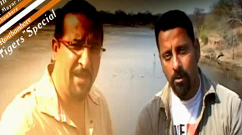Save our Tigers campaign: Rocky & Mayur in Ranthambore