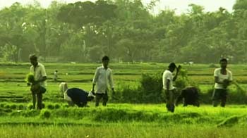 अभी सताती रहेगी गर्मी, मॉनसून में देरी