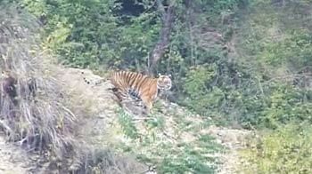 How well-protected are our tiger reserves?