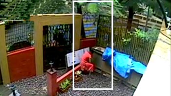 देखिए, कैमरे के सामने 10 फुट की दीवार फांदती चोरनी...