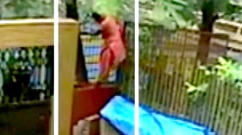 Her Spidey senses were tingling