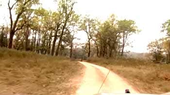 Video : Kanha National Park in trouble