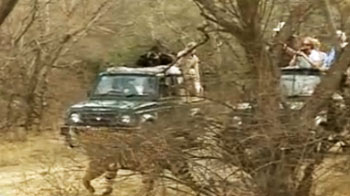 Are tourism resorts fragmenting tiger landscape?