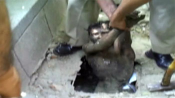 पुलिस के डर से  नाले में कूदा 14 साल का बच्चा