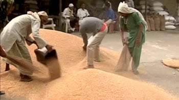 Video : Food activists slam wheat export decision