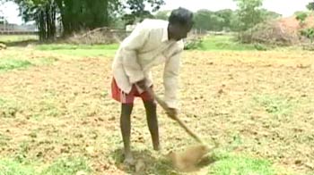 Weak monsoon in Jharkhand, farmers fear drought