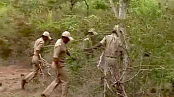 बाघों को सुरक्षा में लगे हैं ये जवान बाघों को सुरक्षा में लगे हैं ये जवान