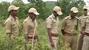 Special force to tackle tiger poaching menace in Karnataka