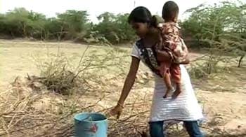 Video : Killer borewells in Rajasthan: No lessons learnt?