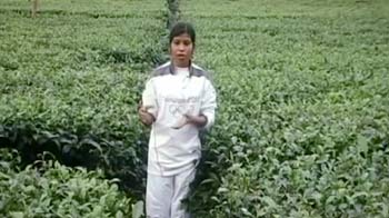 From tea garden in Assam to London Olympics