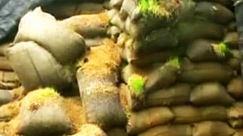 Video : Drought stares at Maharashtra, but rice worth Rs. 250 crores rots