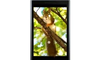 App Review: Pictures Lab and Fantasia Painter