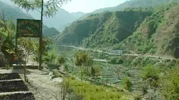 Giving up guns for spade