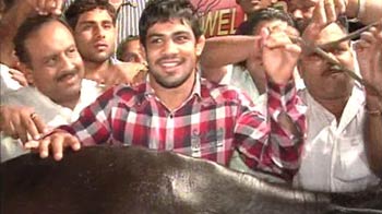 Ghee and Buffaloes as gifts for Sushil, Yogeshwar