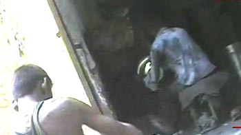 Cabinet clears ban on all forms of child labour