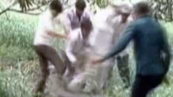 Video : जूनागढ़ में मगरमच्छ ने युवक को घायल किया