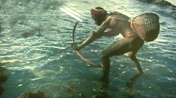 At the crossroads: The Andaman Jarawa