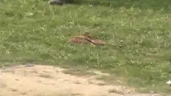 Teachers throw slippers at Nitish Kumar in Madhepura