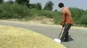 Videos : पंजाब : धान खरीदने की तैयारी