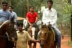 Matheran's 'Horse Power' Matheran's 'Horse Power'