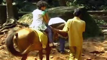 माथेरान का 'हॉर्स पावर'