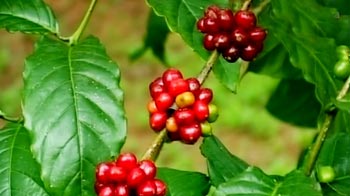 Coffee cup: Half empty half full