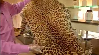 Poachers beware, DNA can nail you down