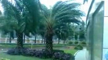 Video : Gusty winds in Chennai as Cyclone Nilam approaches