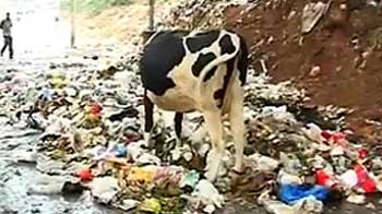 After the rain, garbage and muck on Bangalore streets