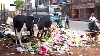 Video : Bangalore garbage crisis: Karnataka High Court questions municipal authority