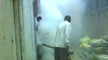 Video : No respite from Dengue despite dropping temperatures