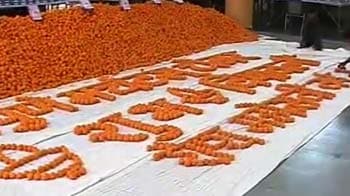 न नफा, न नुकसान, लड्डुओं की सौगात